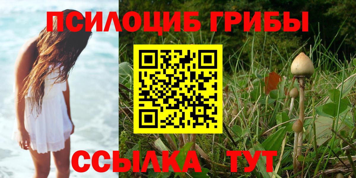 Ипатово  Галлюциногенные грибы прущие грибы  Вход с VPN 
